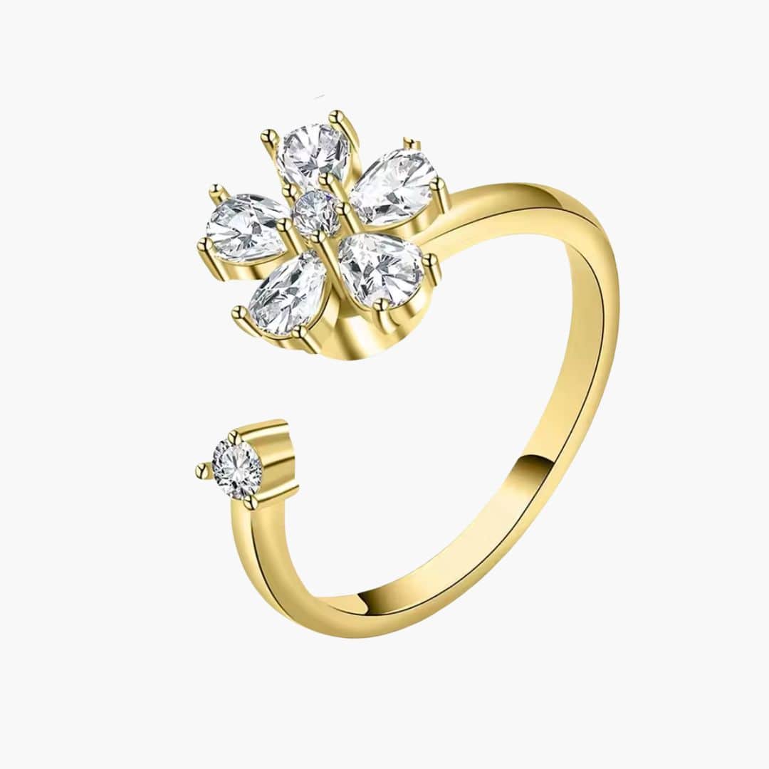 Renaissance - Bague Anti-Stress