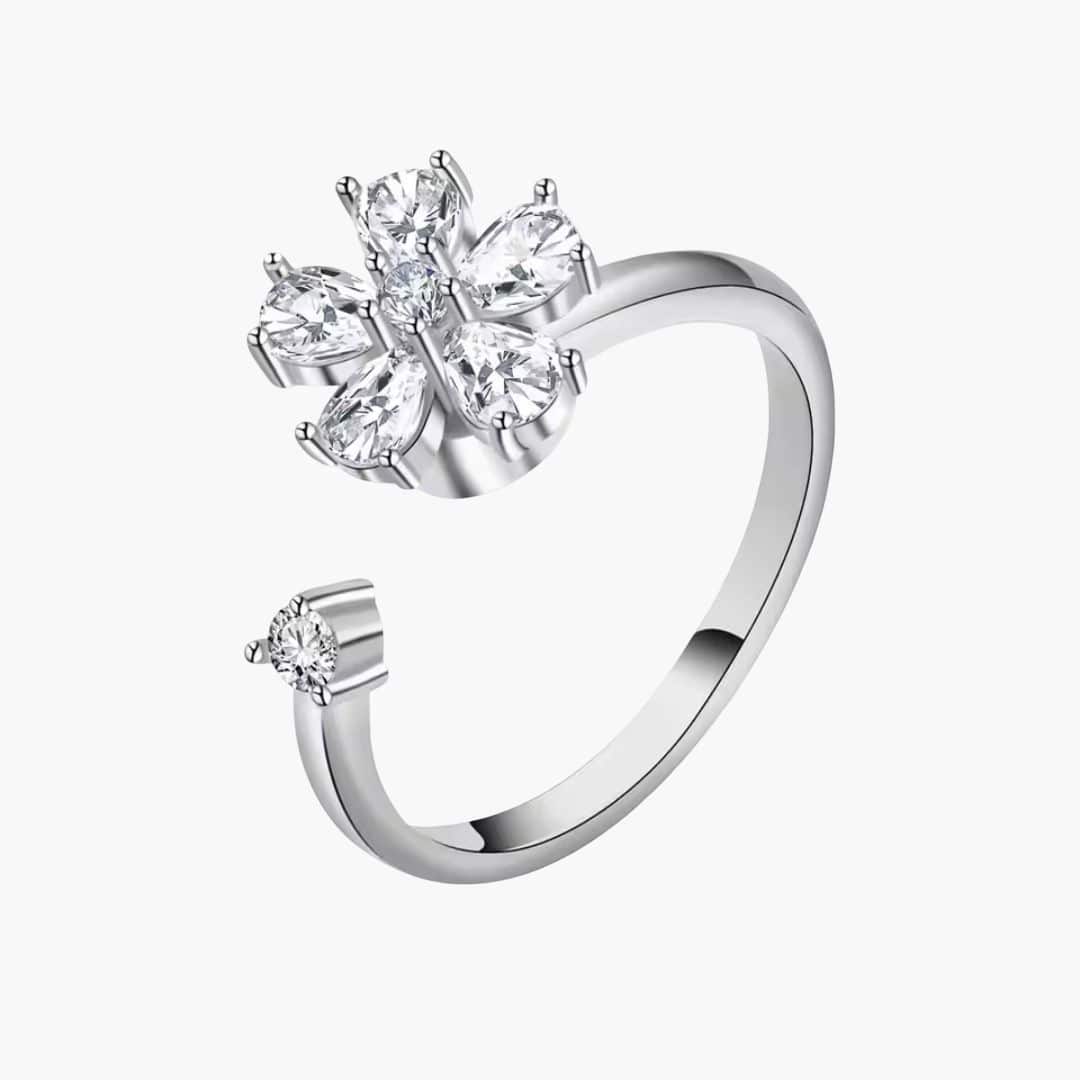 Renaissance - Bague Anti-Stress