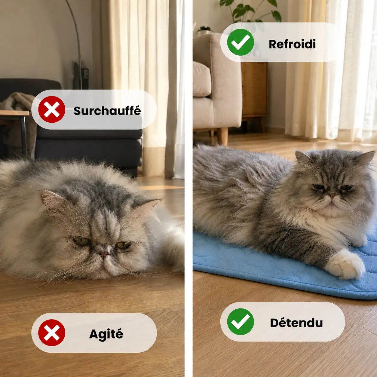 Tapis rafraîchissant Fresk™