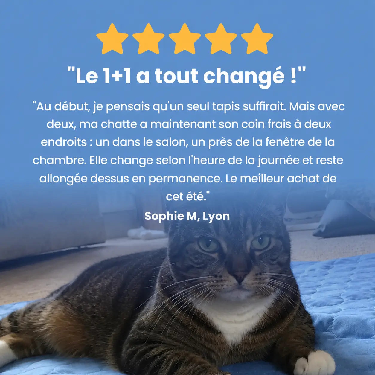Tapis rafraîchissant Fresk™