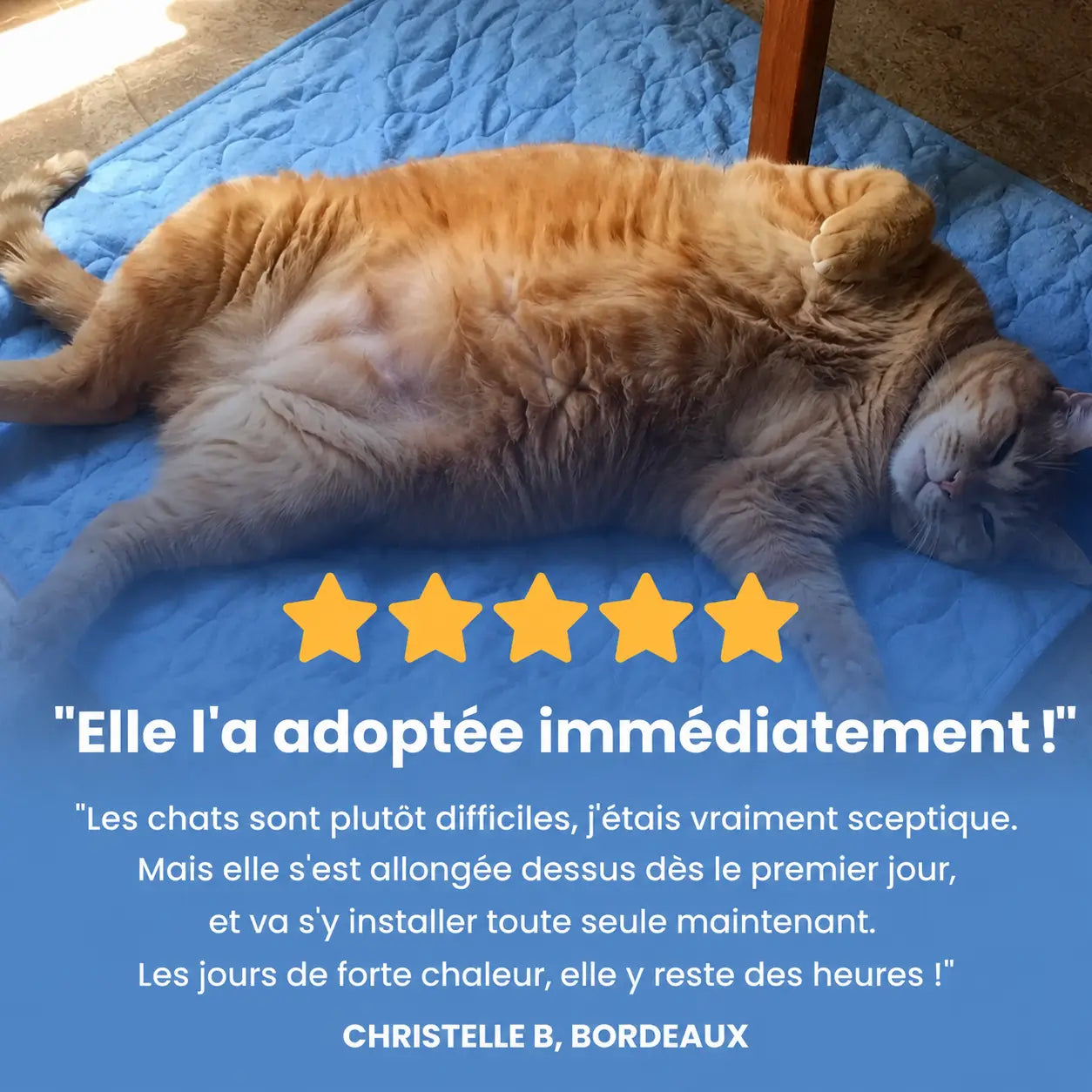 Tapis rafraîchissant Fresk™
